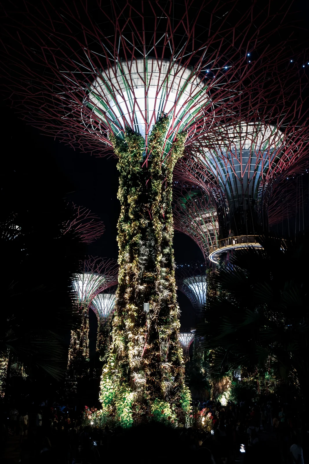The Supertrees lit at dusk at Gardens by the Bay, Singapore